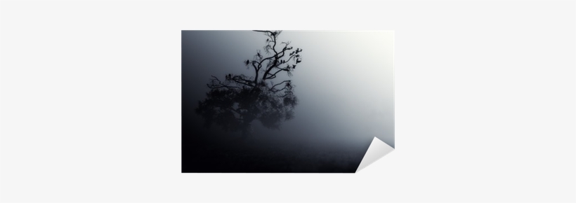 Spooky Tree Dark Night - Mist, transparent png