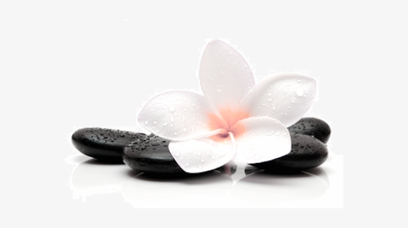 Massage, transparent png