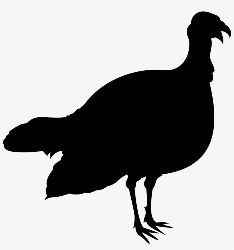 Download Png - Turkey Meat, transparent png