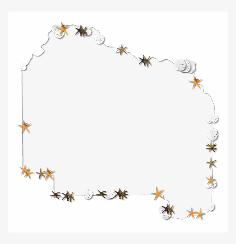 Starfish Outline Clip Art - Alachua, transparent png