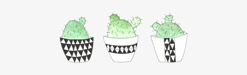 Transparent Cactus - Cactus Twitter Header, transparent png