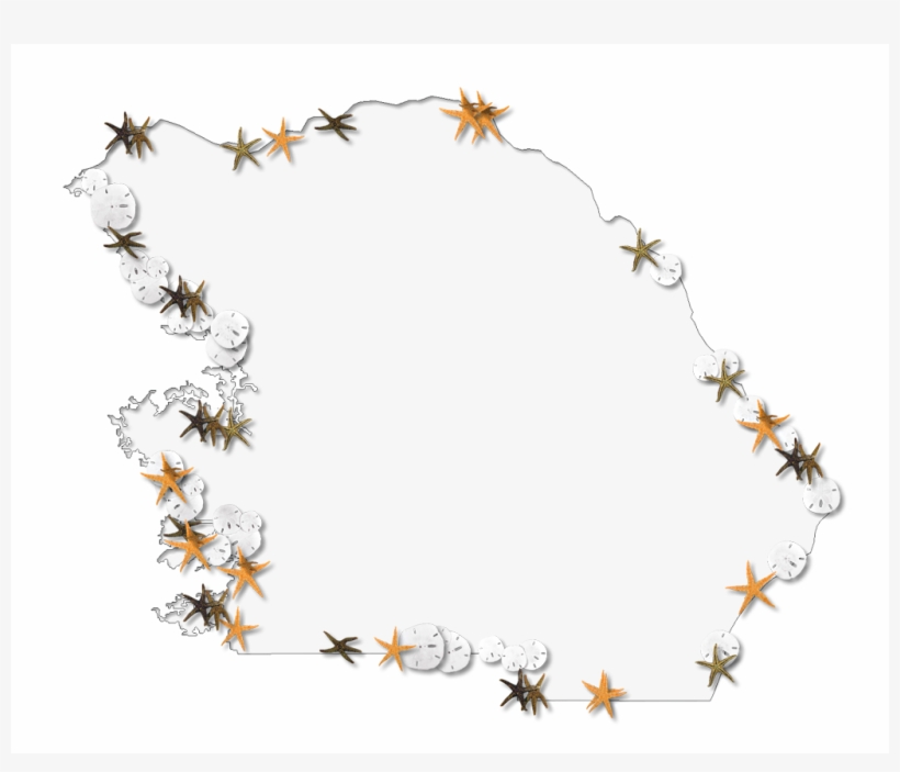 Starfish Clipart Fancy - Clip Art, transparent png
