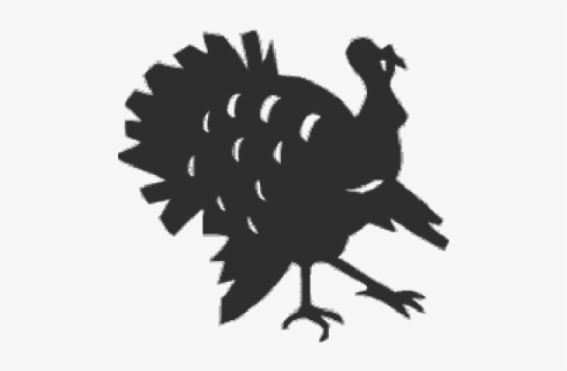 Turkey - Domesticated Turkey, transparent png