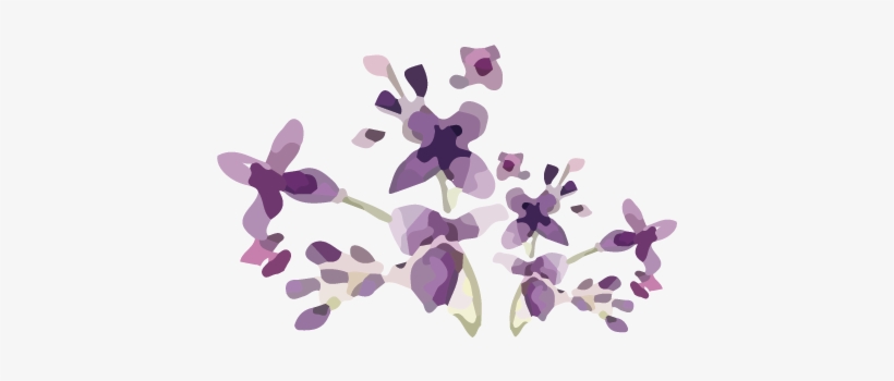 Element-1 - Portable Network Graphics, transparent png