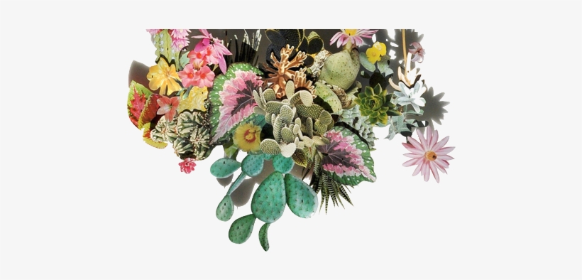 Added Transparency - Collage Art Plant Collage, transparent png