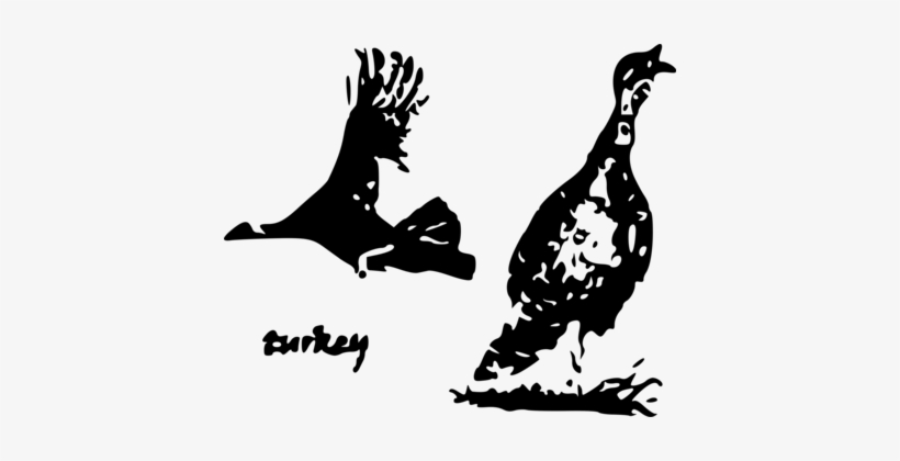 Stencil Silhouette Art Drawing Black And White - Illustration, transparent png