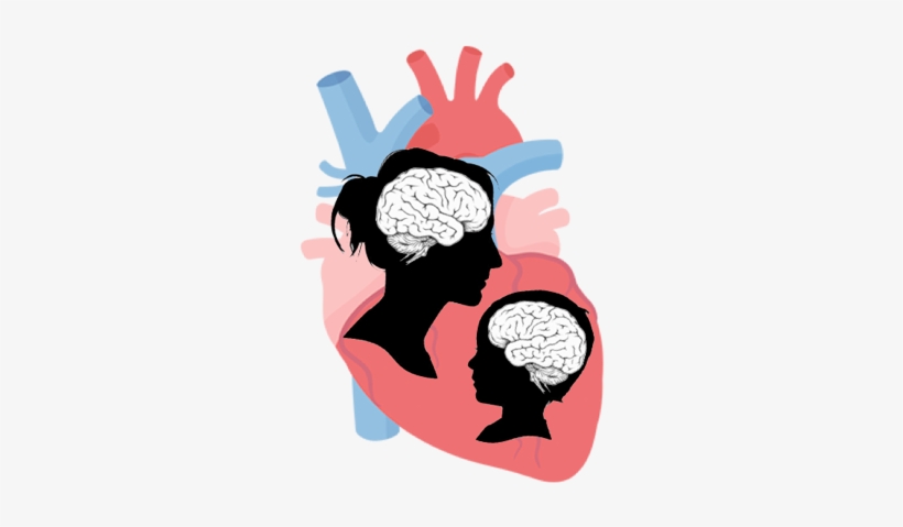 Hearts & Minds Lab - Battement De Coeur, transparent png