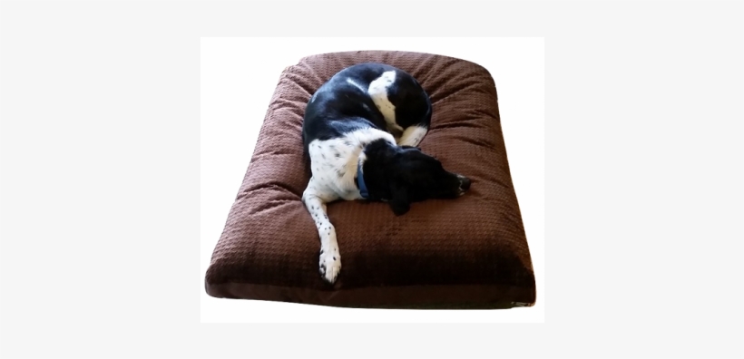Dog Bed, transparent png