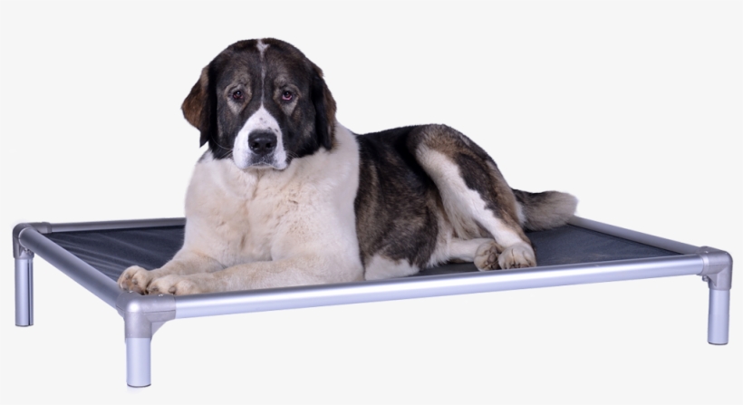 Kuranda Dog Beds - Orthopedisch Hondenbed, transparent png