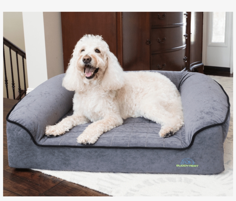 Bolster Dog Bed Gray Bolster 1024x1024 PNG Download PNGkit