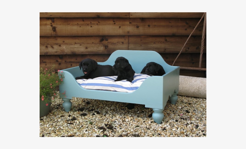 Luxury Raised Wooden Dog Beds - Wooden Dog Beds, transparent png