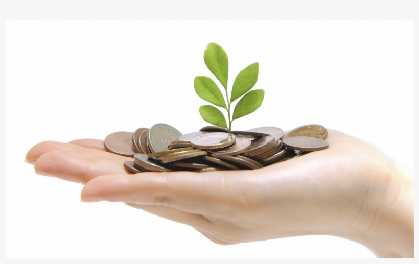 Saving - Cpf Investment, transparent png