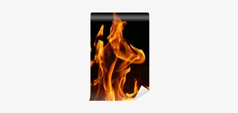 Pro Tools Ii Ignite!: The Visual Guide, transparent png