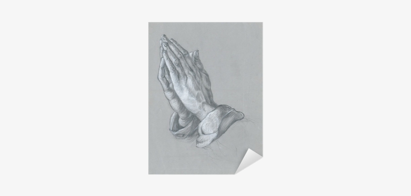 Hands , Pencil And White Chalk Technique Sticker • - Albrecht Dürer, transparent png