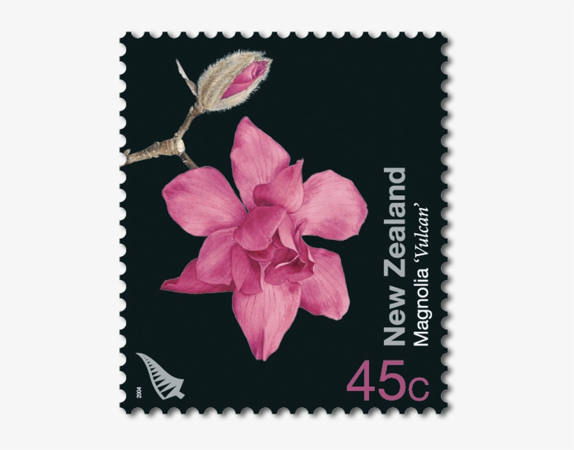 Product Listing For Garden Flowers - Cattleya, transparent png