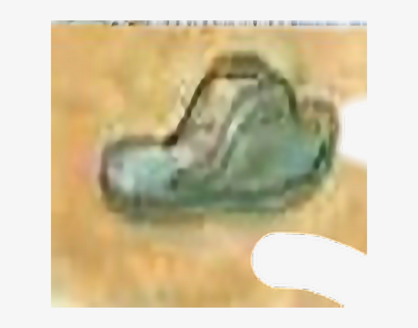 Sneakers, transparent png