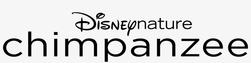 Open - Look Out Disney Here We Come! Adult Raglan, transparent png