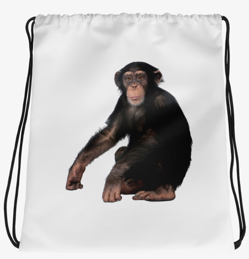 Chimpanzee Print Drawstring Bag - Drawstring Bag, transparent png