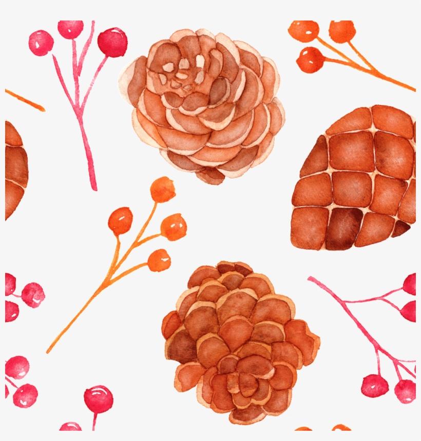 Hand Drawn Cartoon Pine Cone Background Illustration - Illustration, transparent png
