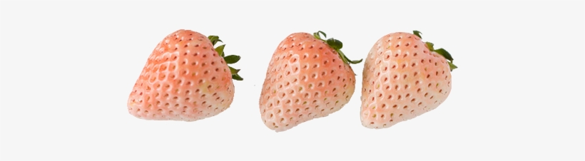 White Balloon Png - Strawberry Tumblr Transparent, transparent png
