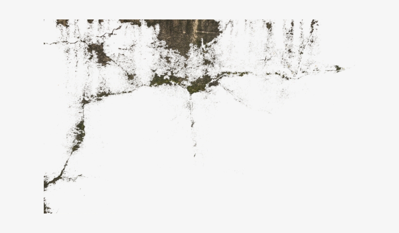 Dirty Decals - Video Game Developer, transparent png