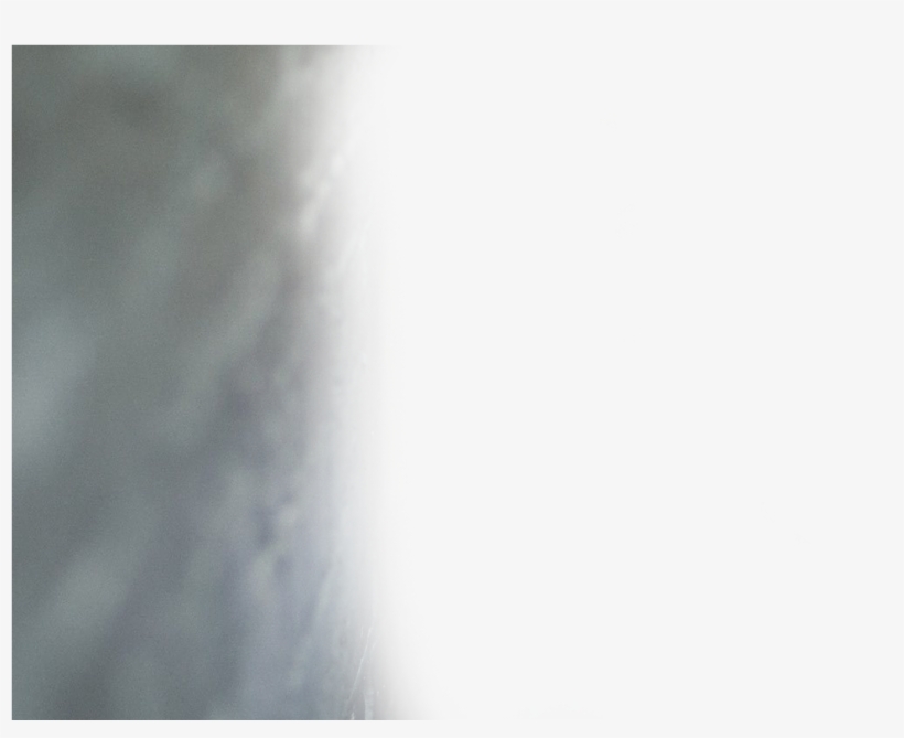 The Original Old Dirty Bastard - Wall, transparent png