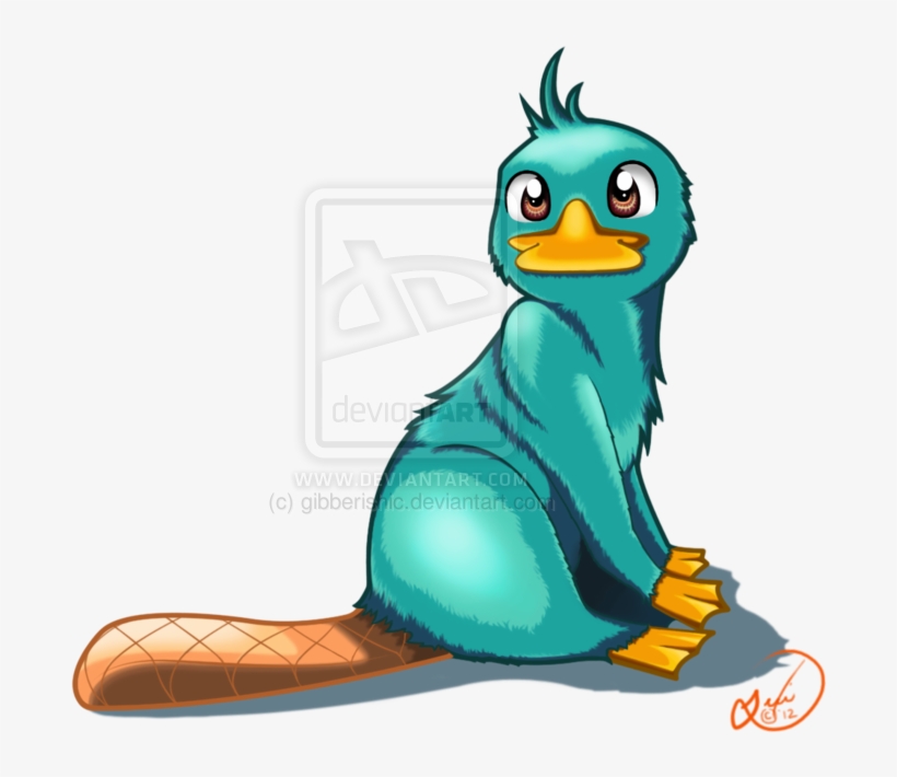 Perry Art - - Phineas Flynn, transparent png