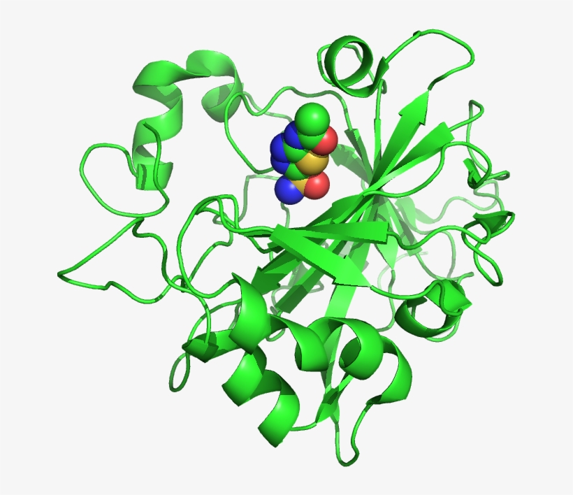 File - 4lu3 - Perry The Platypus, transparent png