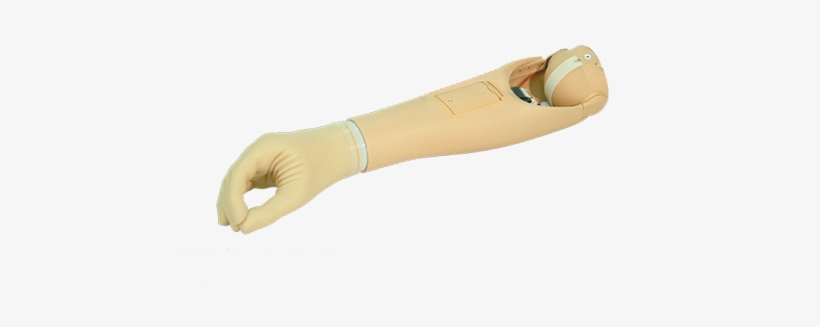 Shoulder Disarticulation Prosthesis Transhumeral Prosthesis - Transradial Prosthesis, transparent png