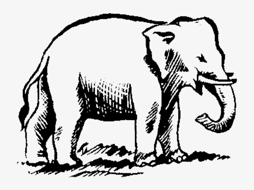 Indian Election Symbol Elephant 2 - Asian Elephant Symbol, transparent png