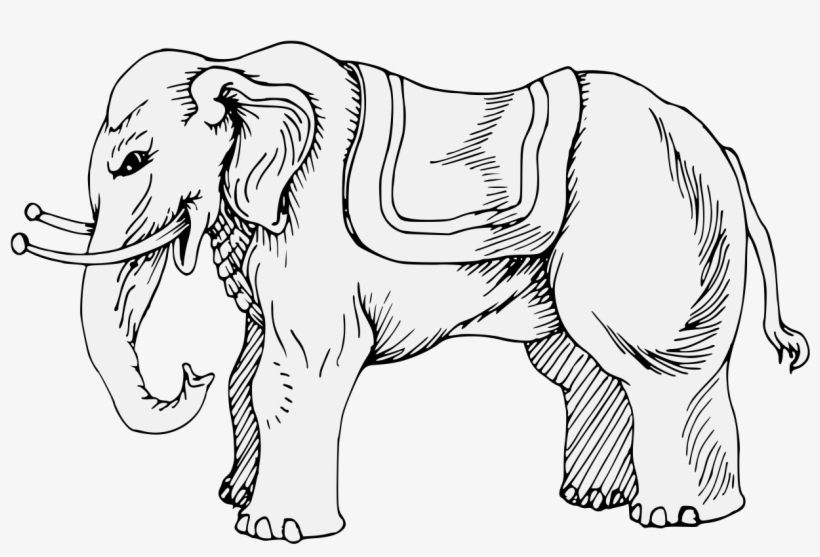 Details, Png - Elephant, transparent png