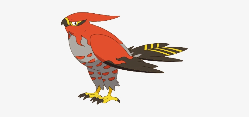 Talonflame Xy2 - Talonflame By Xy Anime, transparent png