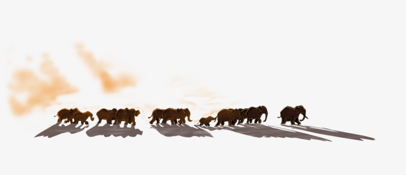 This Experience Was Designed To Work On Desktop And - What Elephants Like, transparent png