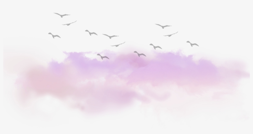 Clouds Cloud Birds Tumblr Kawaii Ftestickers - Cloud Birds, transparent png