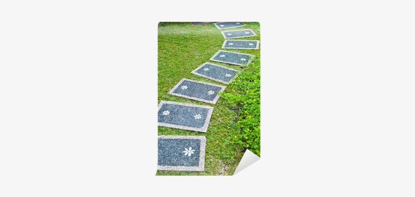 Photograph, transparent png