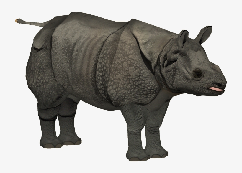 Javan Rhinoceros Adult F - Zt2 Javan Rhino Remake, transparent png