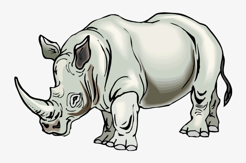 Rhino-16 - Rhino Clipart, transparent png