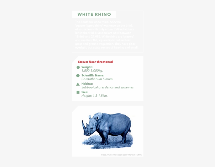 Info Bar - White Rhinoceros, transparent png