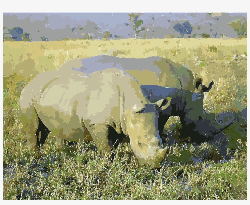 This Free Icons Png Design Of Rhinoceros In South Africa, transparent png