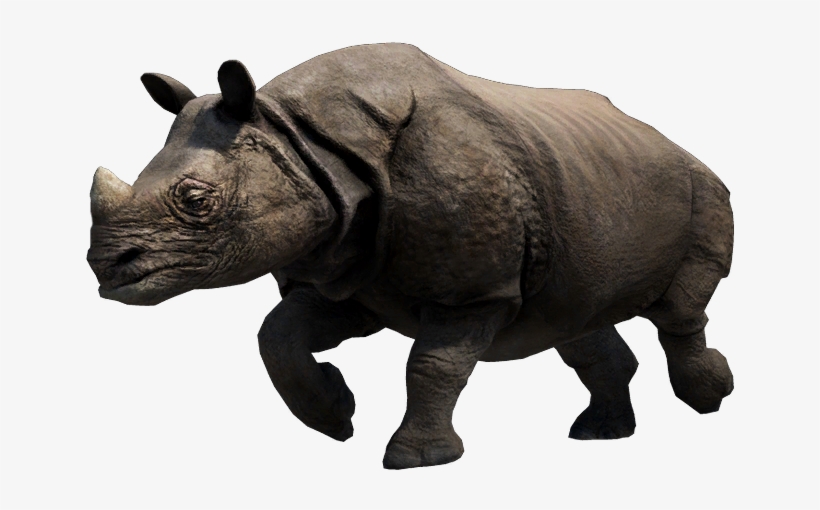 Rhino Pics - Far Cry 3 Rhino, transparent png