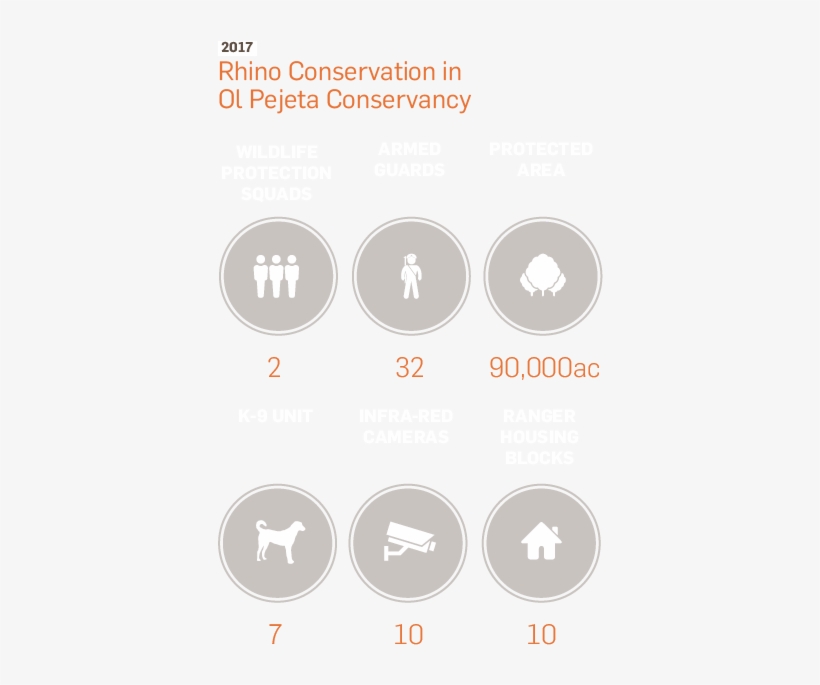 Black Rhinoceros - Australia Zoo, transparent png