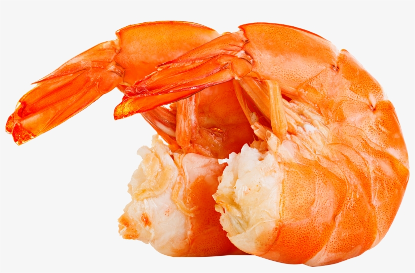 Transparent Shrimp Huge, transparent png