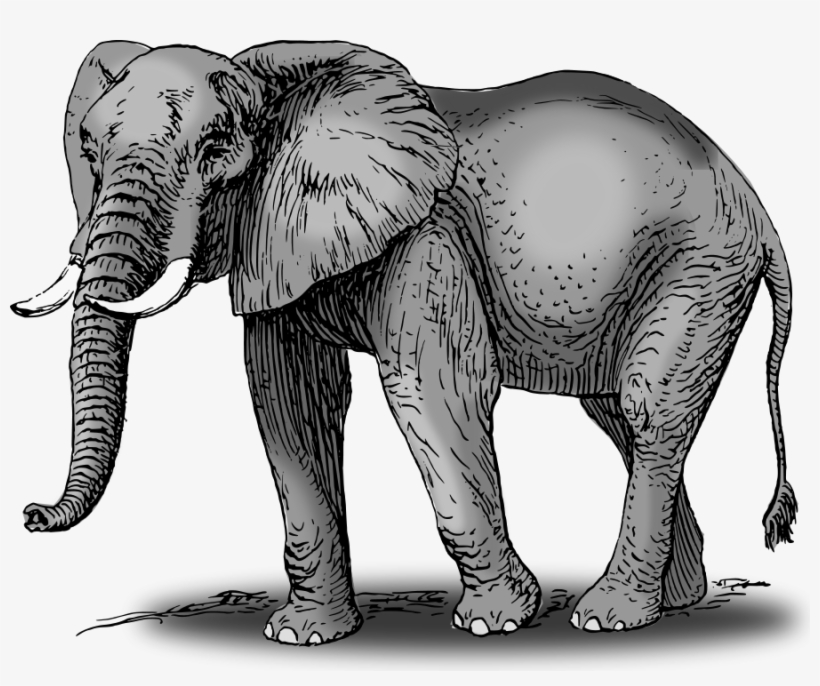 How To Set Use Colored Elephant Clipart, transparent png