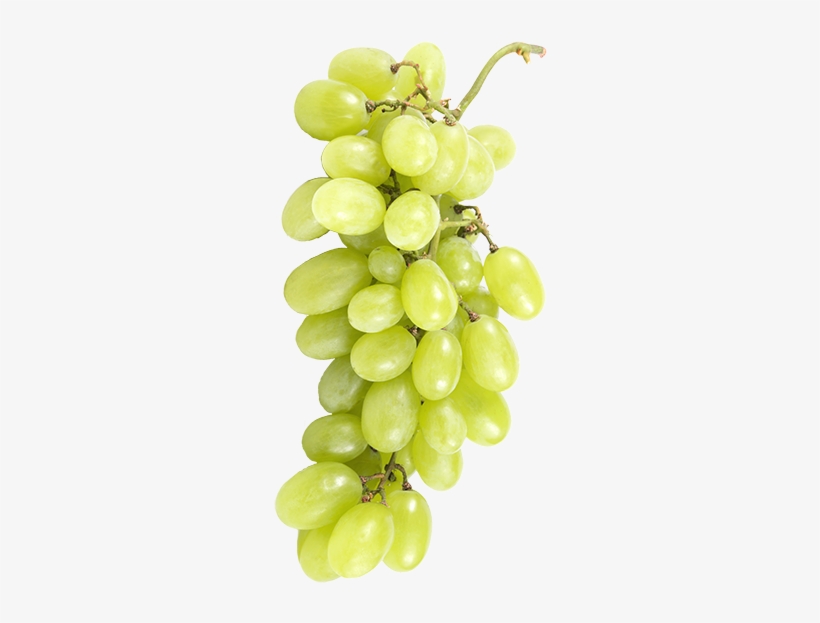 White Viognier Grapes - Seedless Fruit, transparent png