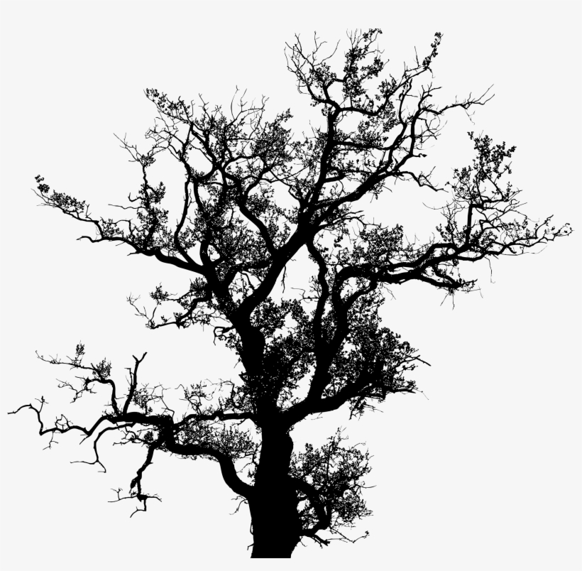 Silhouette Big Image Png - Tree Silhouette Vector Png, transparent png