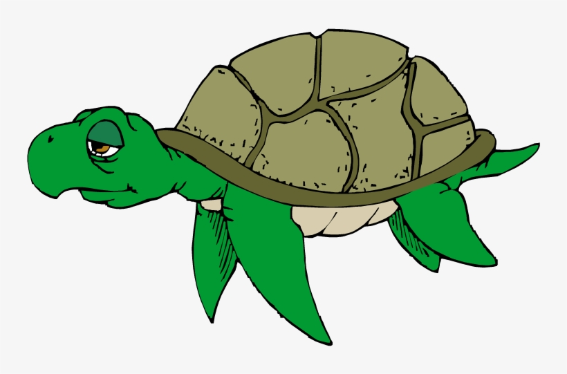 Turtle Clipart Png Transparent - Old Sea Turtle Clipart, transparent png