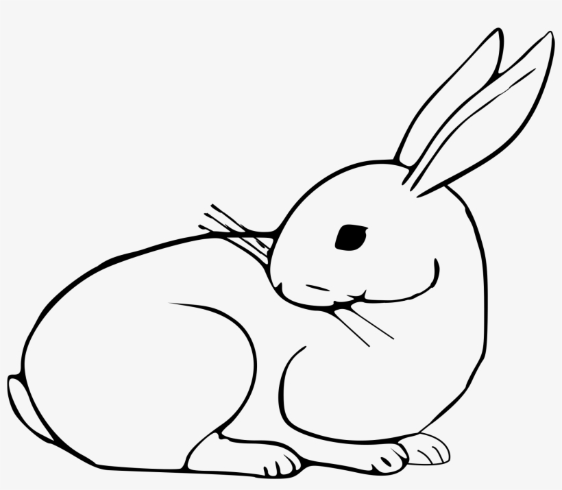 Black And White Library Rabbit Big Image Png - Domestic Rabbit, transparent png