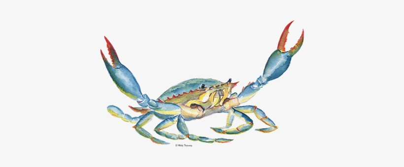 Click And Drag To Re-position The Image, If Desired - Chesapeake Blue Crab, transparent png