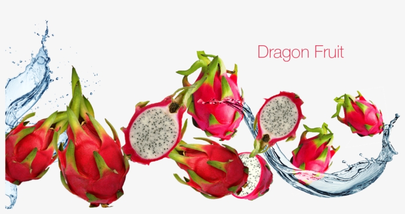 Dragon Fruit - Red Dragon Fruit Png, transparent png
