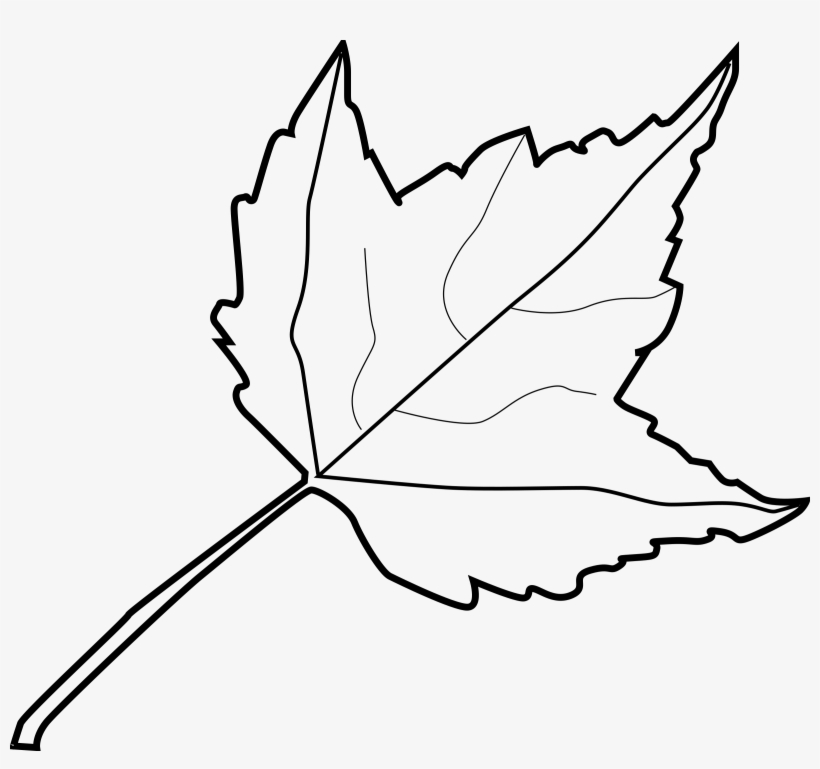 Clip Art Leaves Black And White, transparent png